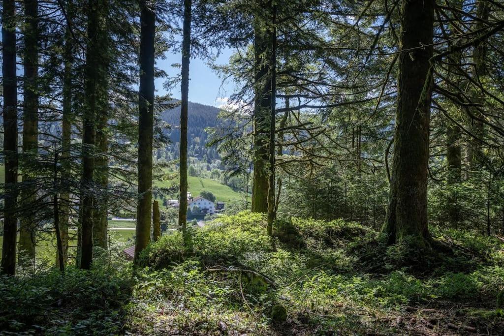 Charmant Chalet Cosy & Paisible En Pleine Nature - Refuge Idyllique Pour 5P Gerardmer Exterior photo