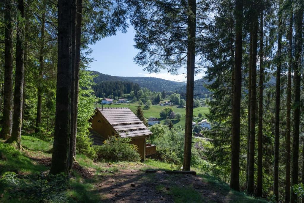 Charmant Chalet Cosy & Paisible En Pleine Nature - Refuge Idyllique Pour 5P Gerardmer Exterior photo